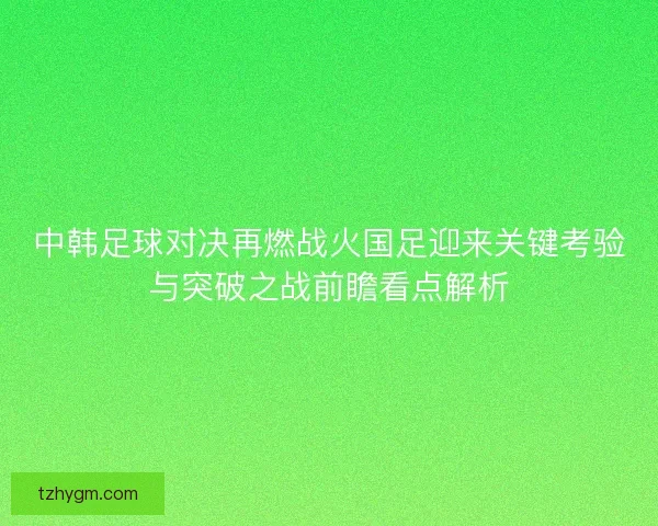 中韩足球对决再燃战火国足迎来关键考验与突破之战前瞻看点解析