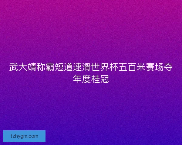 武大靖称霸短道速滑世界杯五百米赛场夺年度桂冠