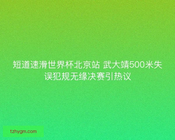 短道速滑世界杯北京站 武大靖500米失误犯规无缘决赛引热议