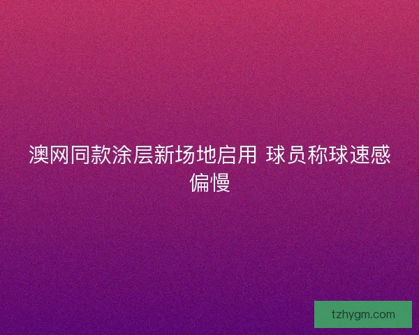 澳网同款涂层新场地启用 球员称球速感偏慢